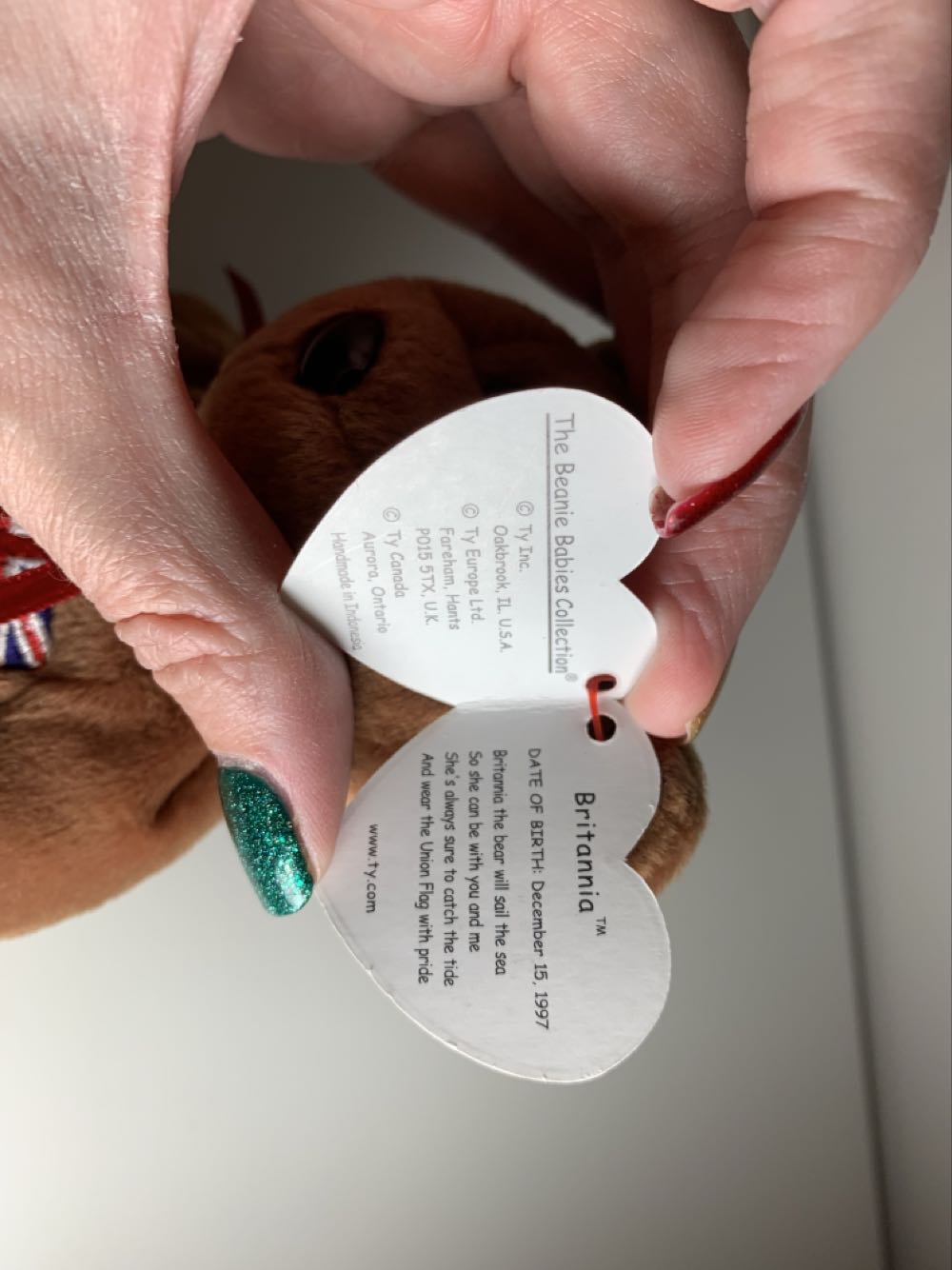 Britannia The Bear (Indo)  (United States) plush collectible [Barcode 008421046010] - Main Image 2