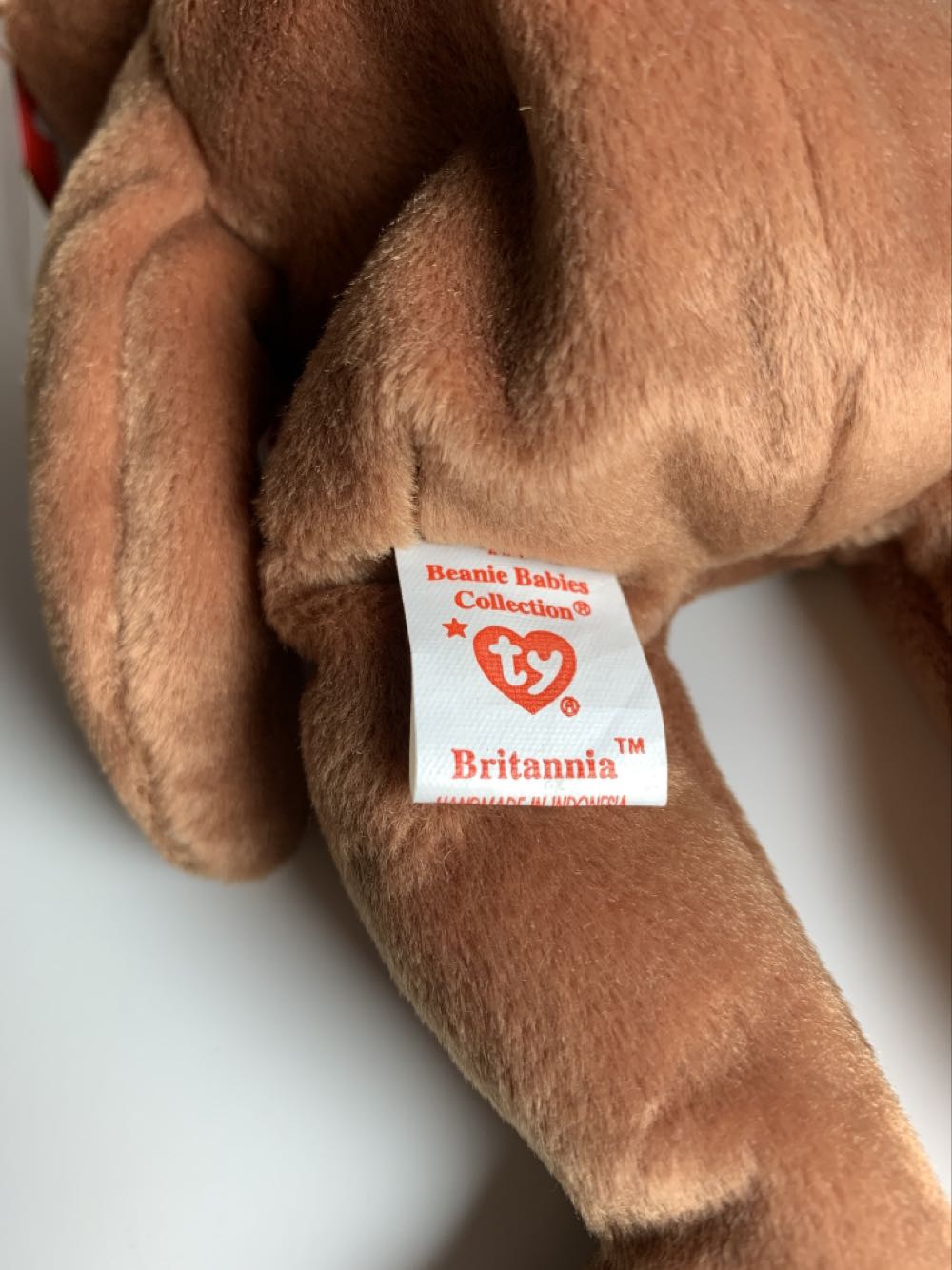 Britannia The Bear (Indo)  (United States) plush collectible [Barcode 008421046010] - Main Image 3