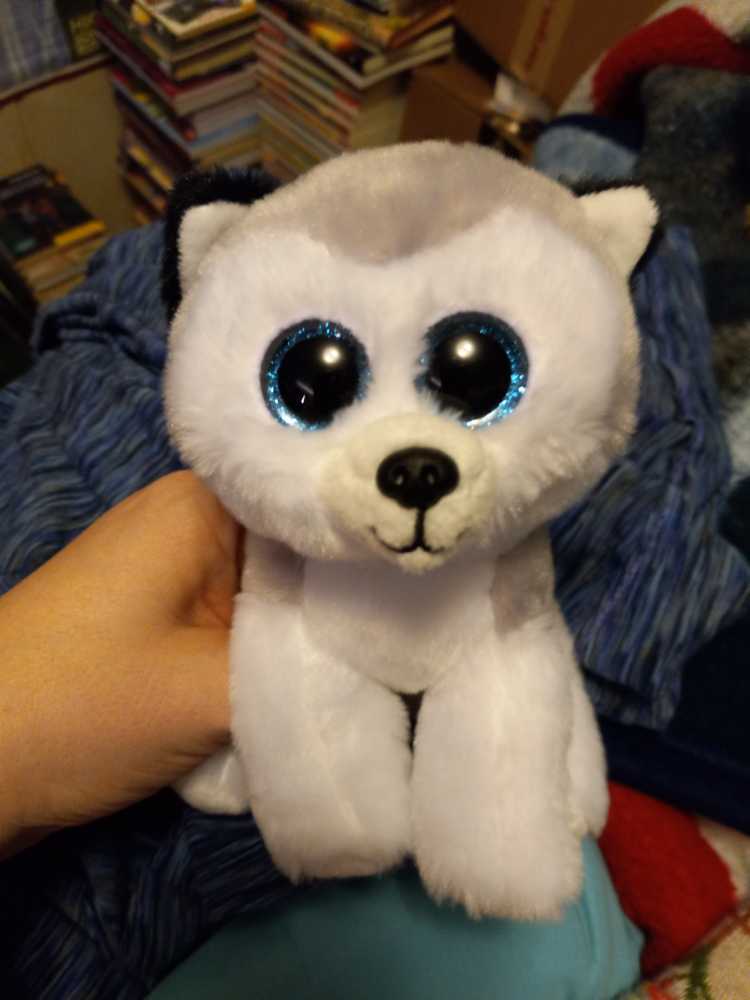 Boyds Bears ”archibald Mcbearlie” 6” Bear #904064 Retired