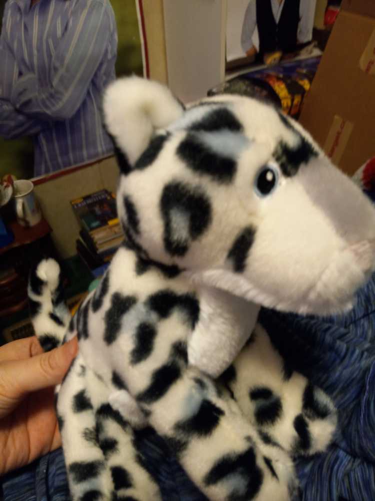 pluffies “grazer” cow