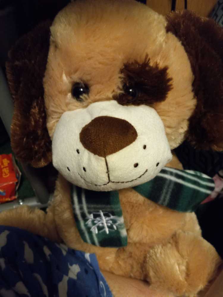 Sophie The Lamb 12”