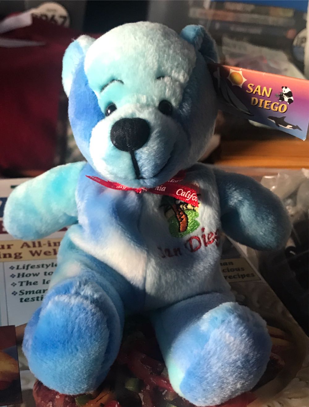# San Diego Bear  plush collectible [Barcode 641939101200] - Main Image 1