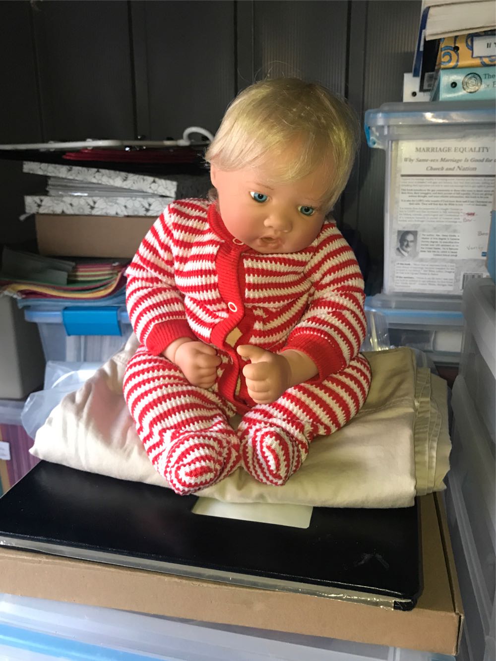 Carizma The 16” Kitty Cat Squishmallow