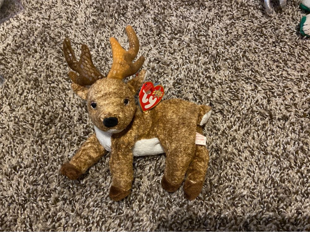 Tenzing The Sea Bunny