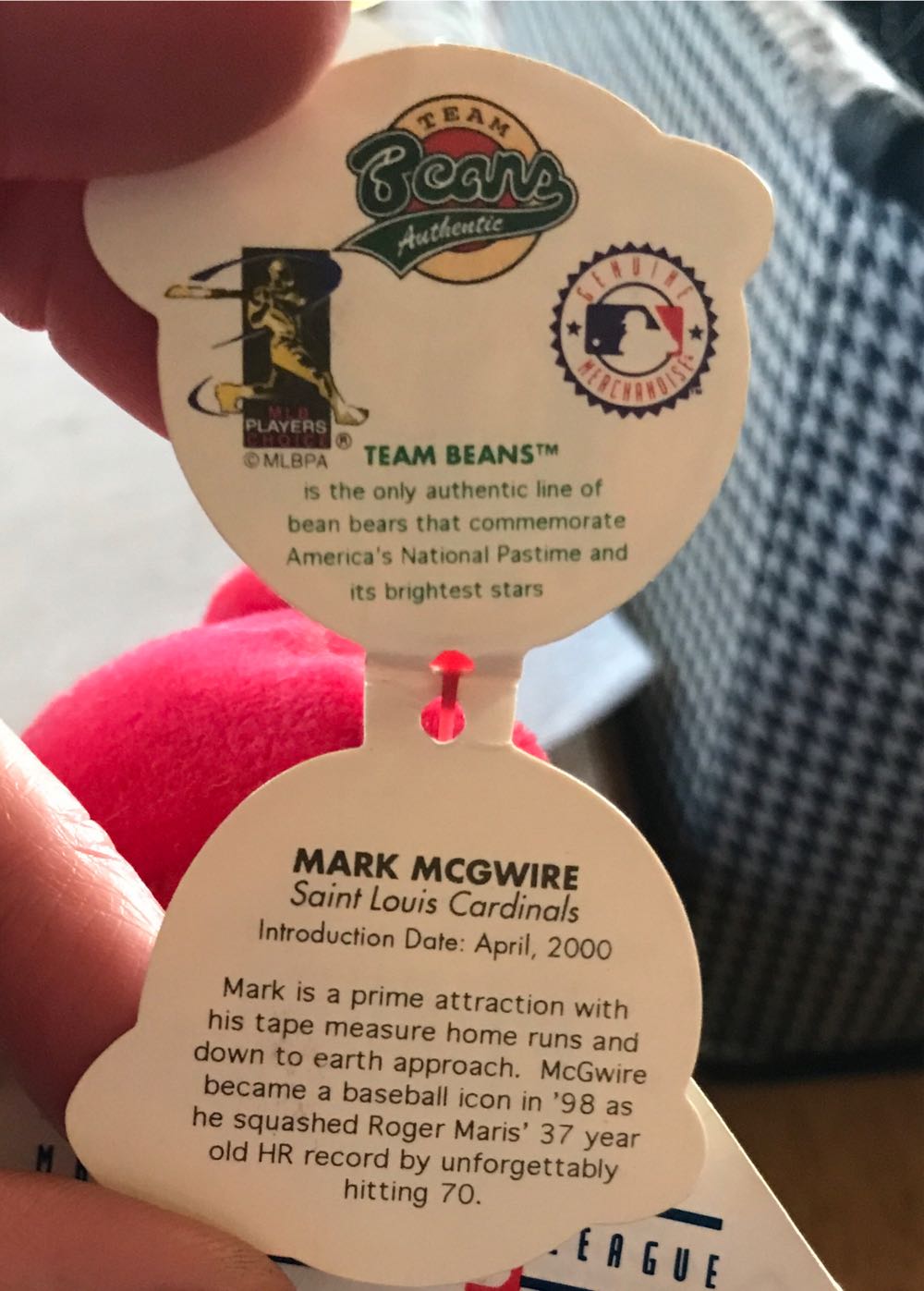 # MLB Mark McGwire Team Bear  plush collectible - Main Image 4