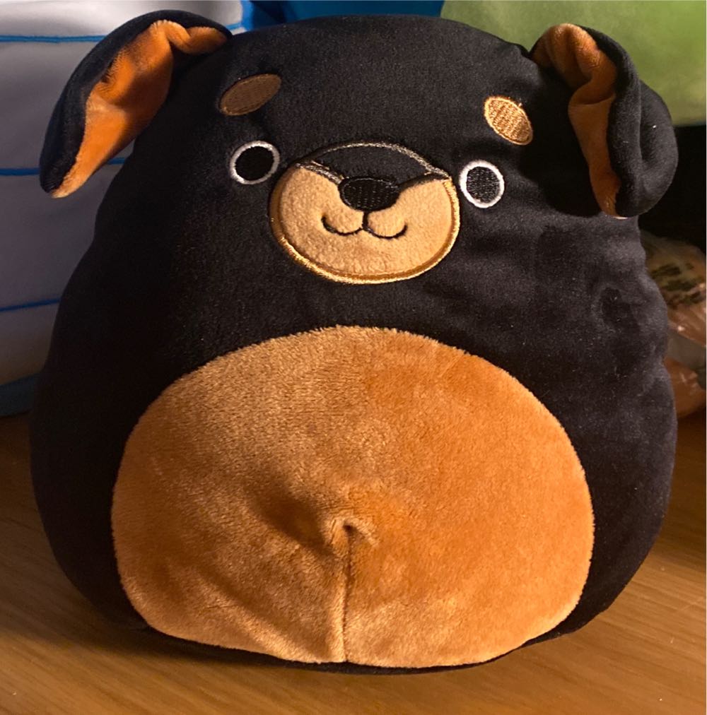 Antoni the Sea Turtle 12”