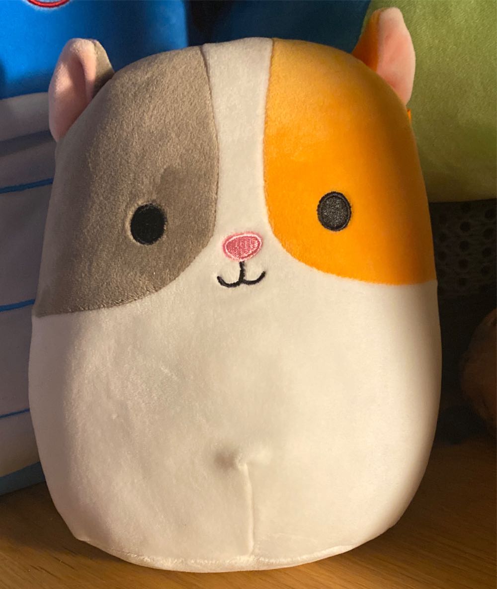 Adventure Planet Triceratops