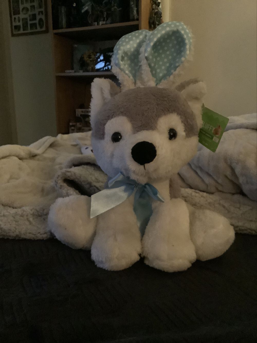 Thomas the Beanie Buddy