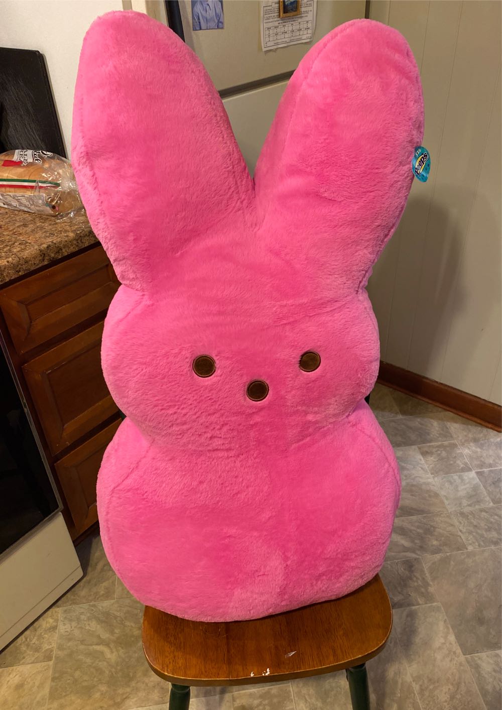 Lizette The 8” Caticorn Squishmallow