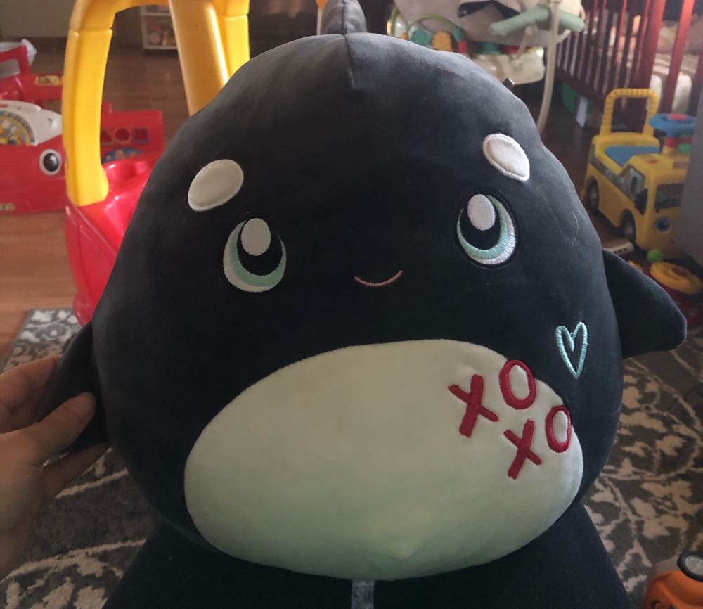 Official Kellytoy Squishmallows Space Squad Summer Release Stuffed