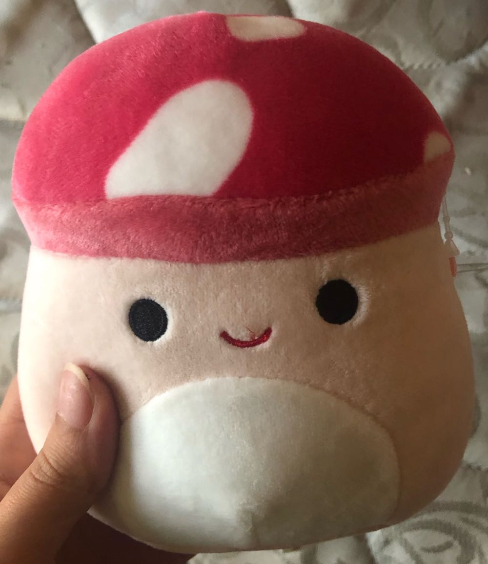 Bernardo Squishmallows 5inch