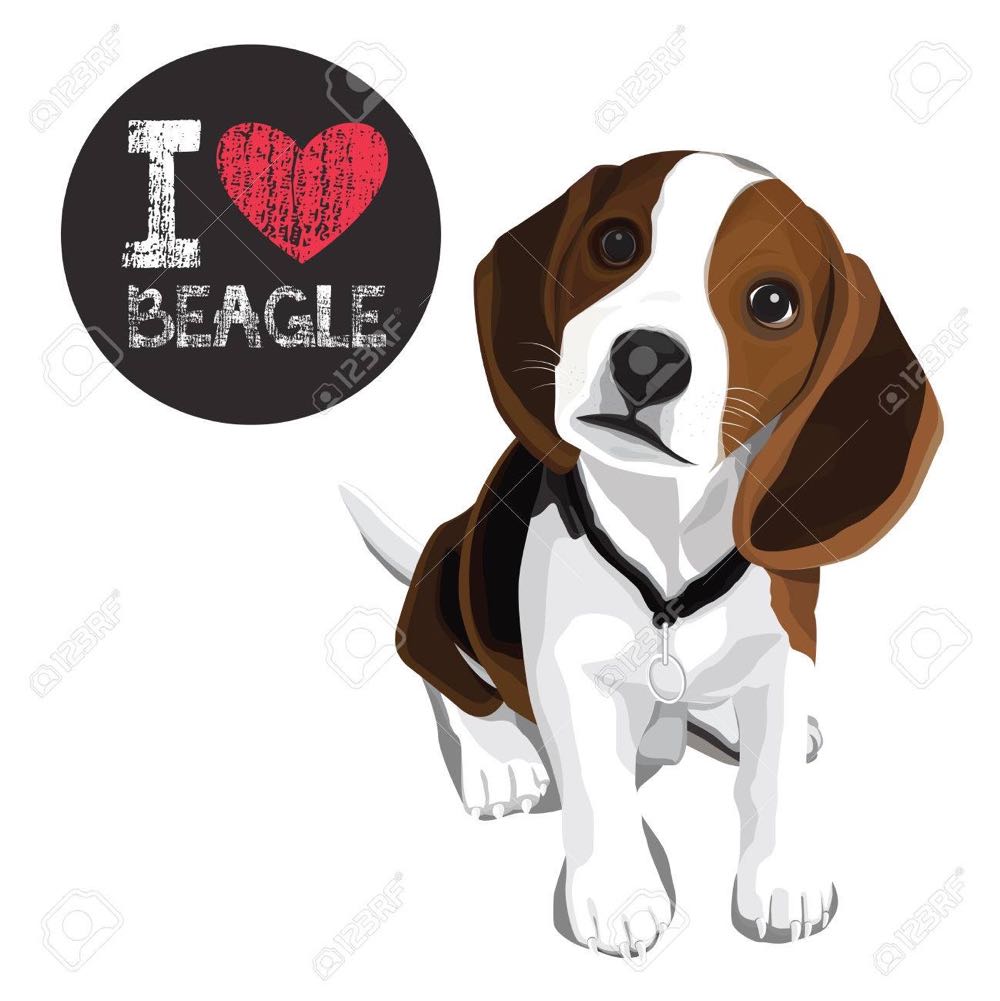 Bearington Hunter Beagle Plush Stuffed Animal Puppy Dog 15 ...  plush collectible [Barcode 842878033120] - Main Image 1