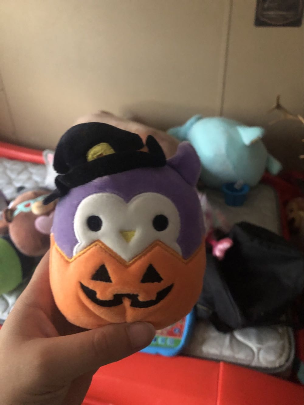 Squishmallow  plush collectible - Main Image 1