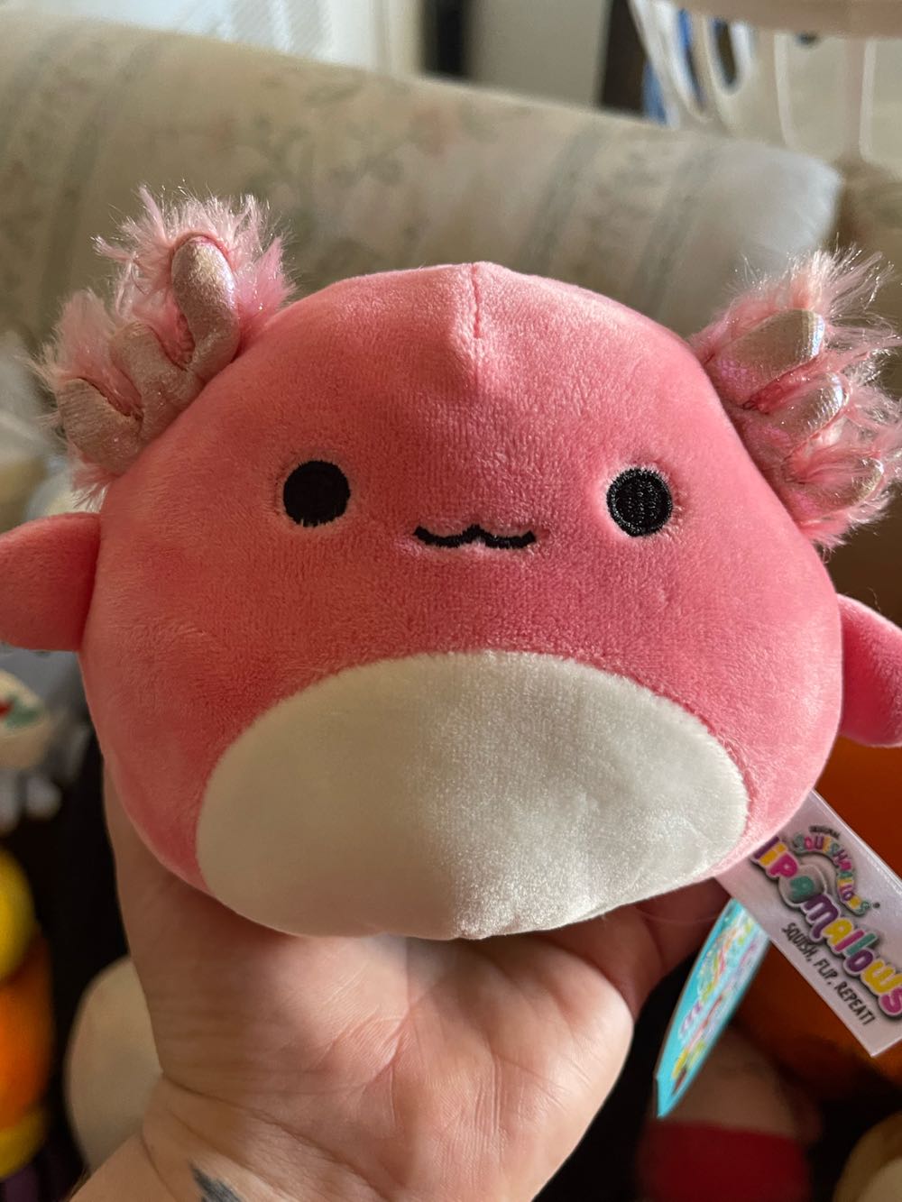Archie Tristan 5” Squishmallow Flip  plush collectible [Barcode 734689406272] - Main Image 2