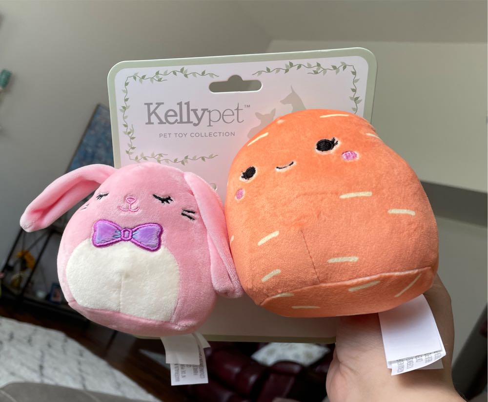 Loy The Akita Dog Exclusive