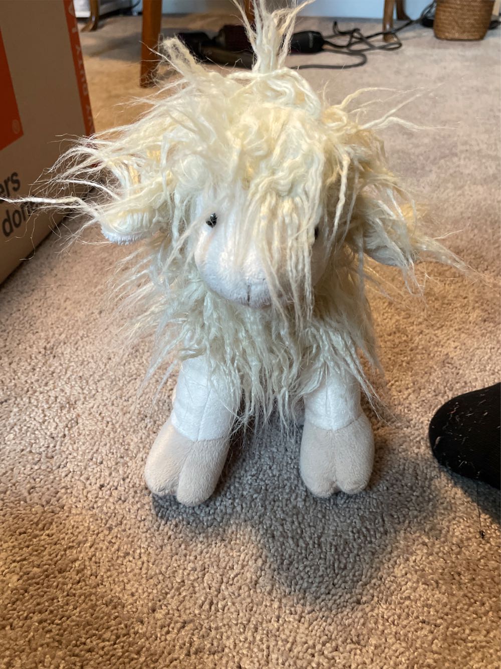 Miso the Siamese Cat