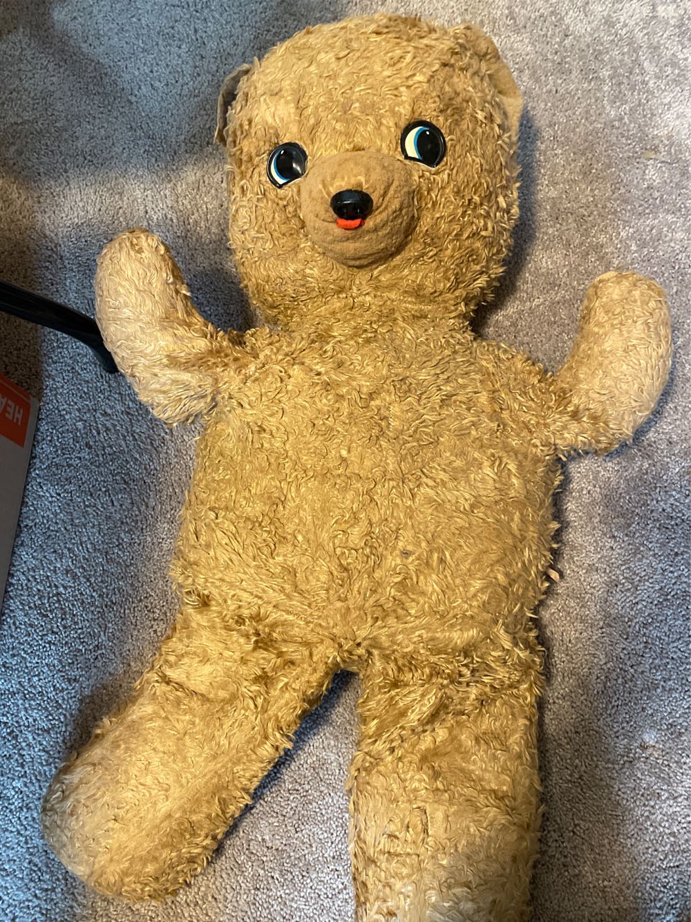 Porthos The Sheep Dog