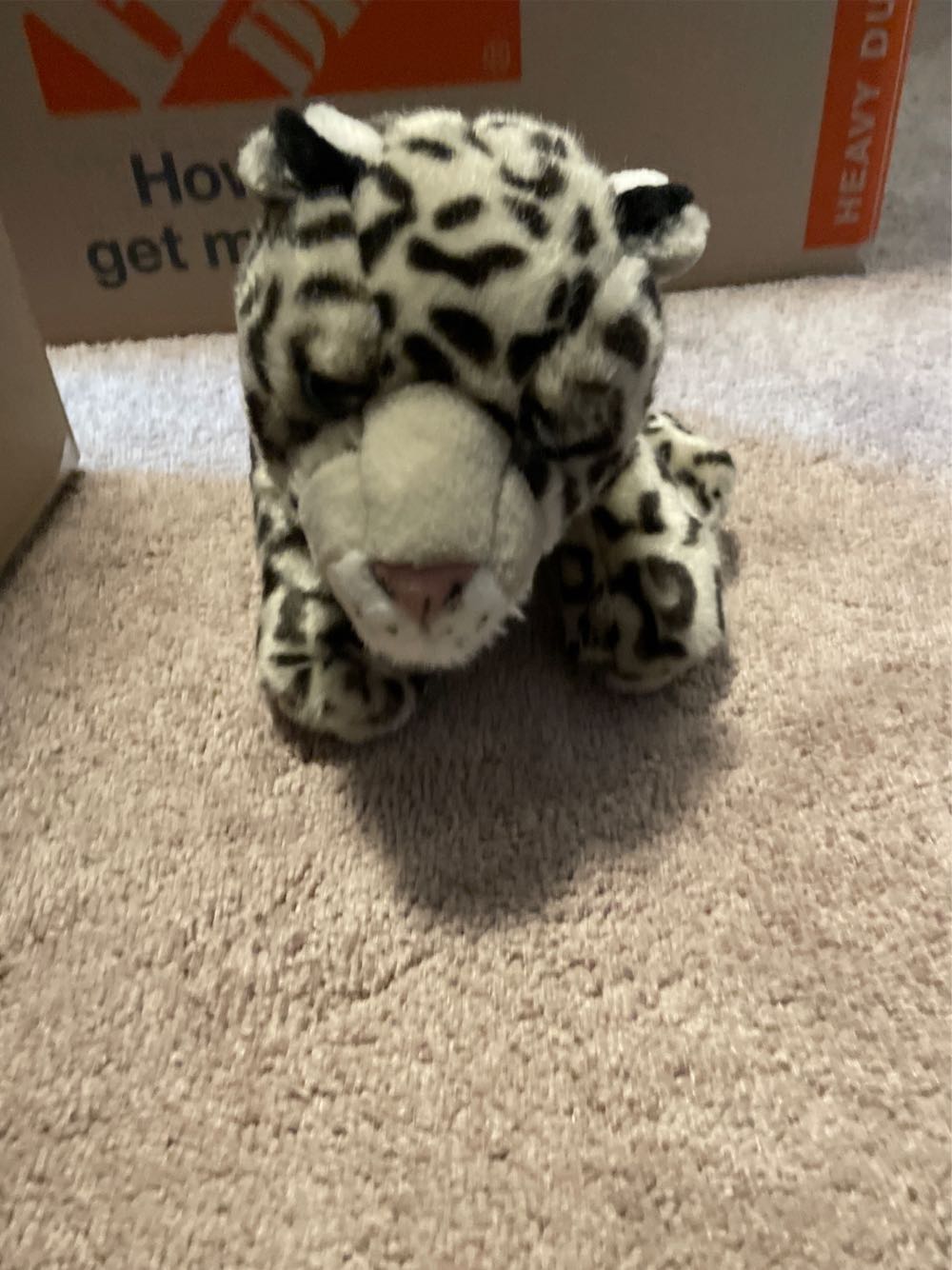 House Mascot ~ Slytherin