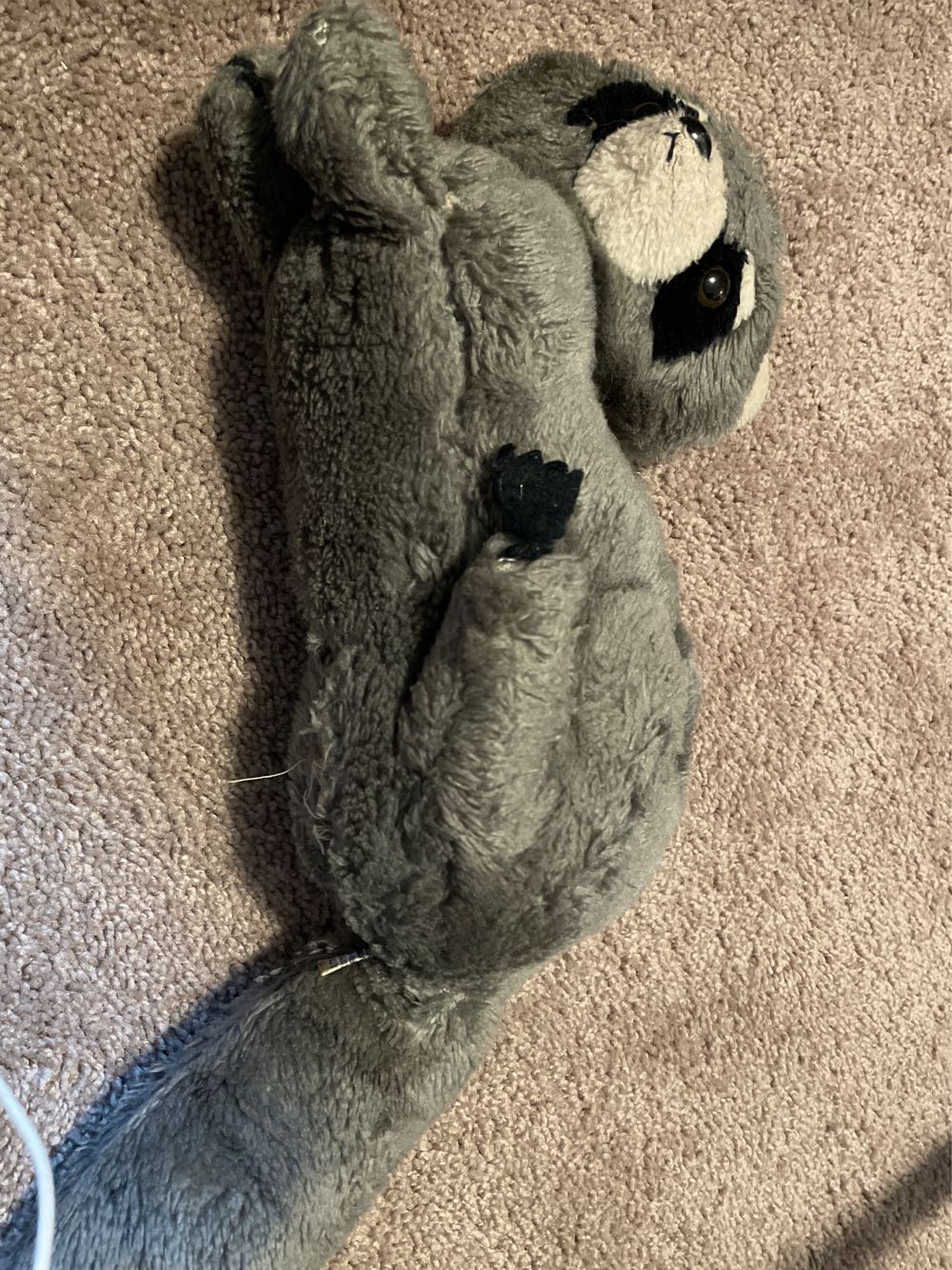 Wild republic coyote