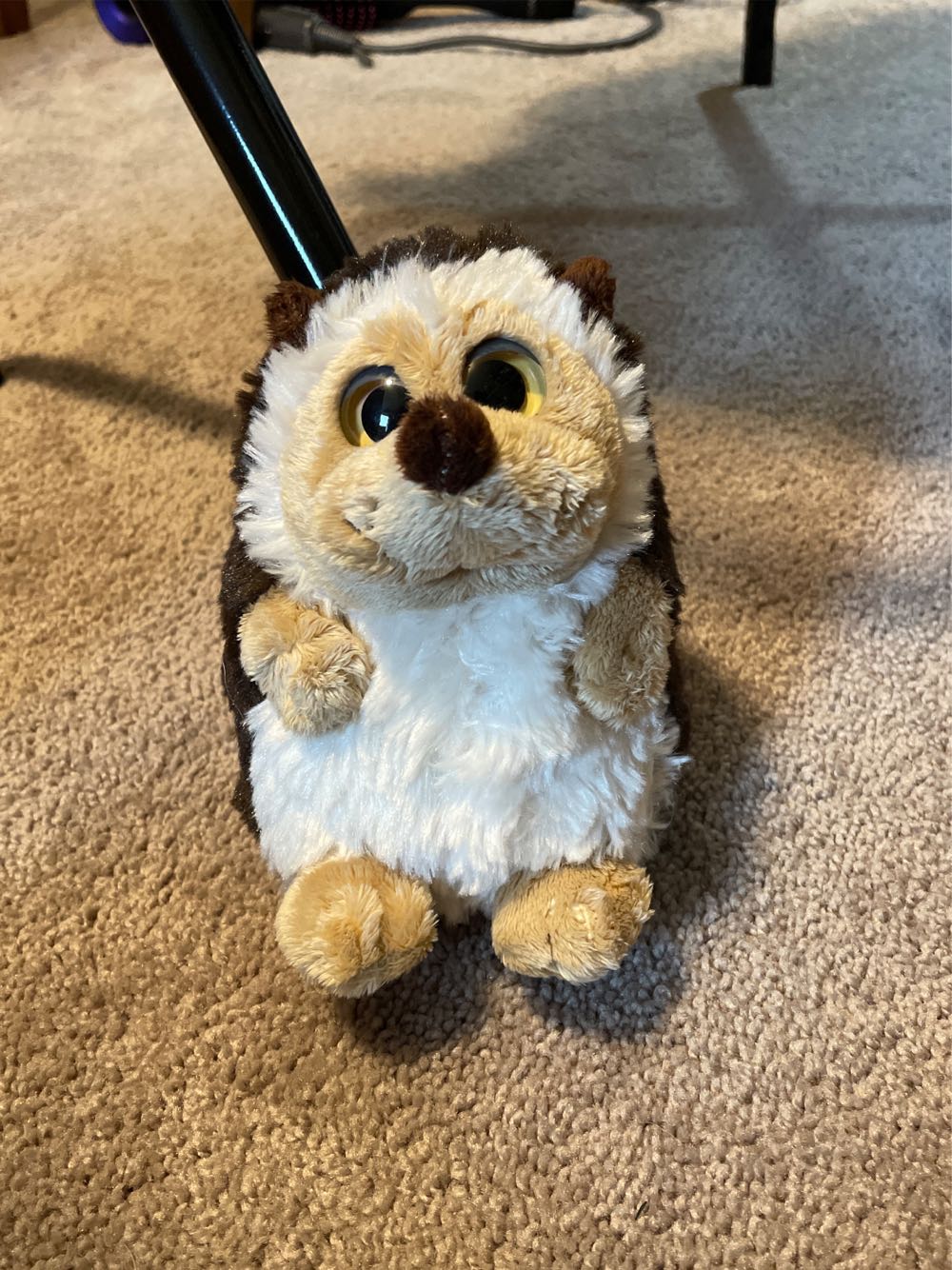 White bear with Tartan ribbon