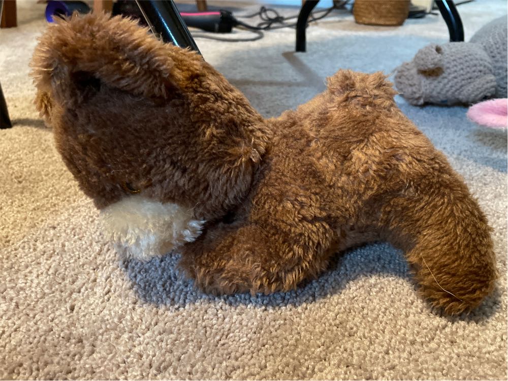 Flaky The Bear 🐻 🎄