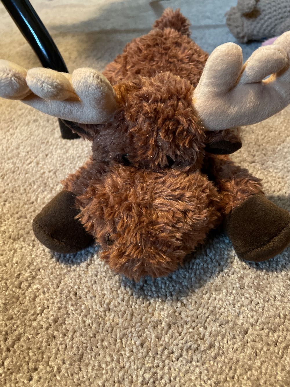 BAB Lucky O’Teddy Bear