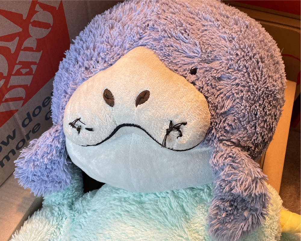 Tajo the Tasmanian Devil