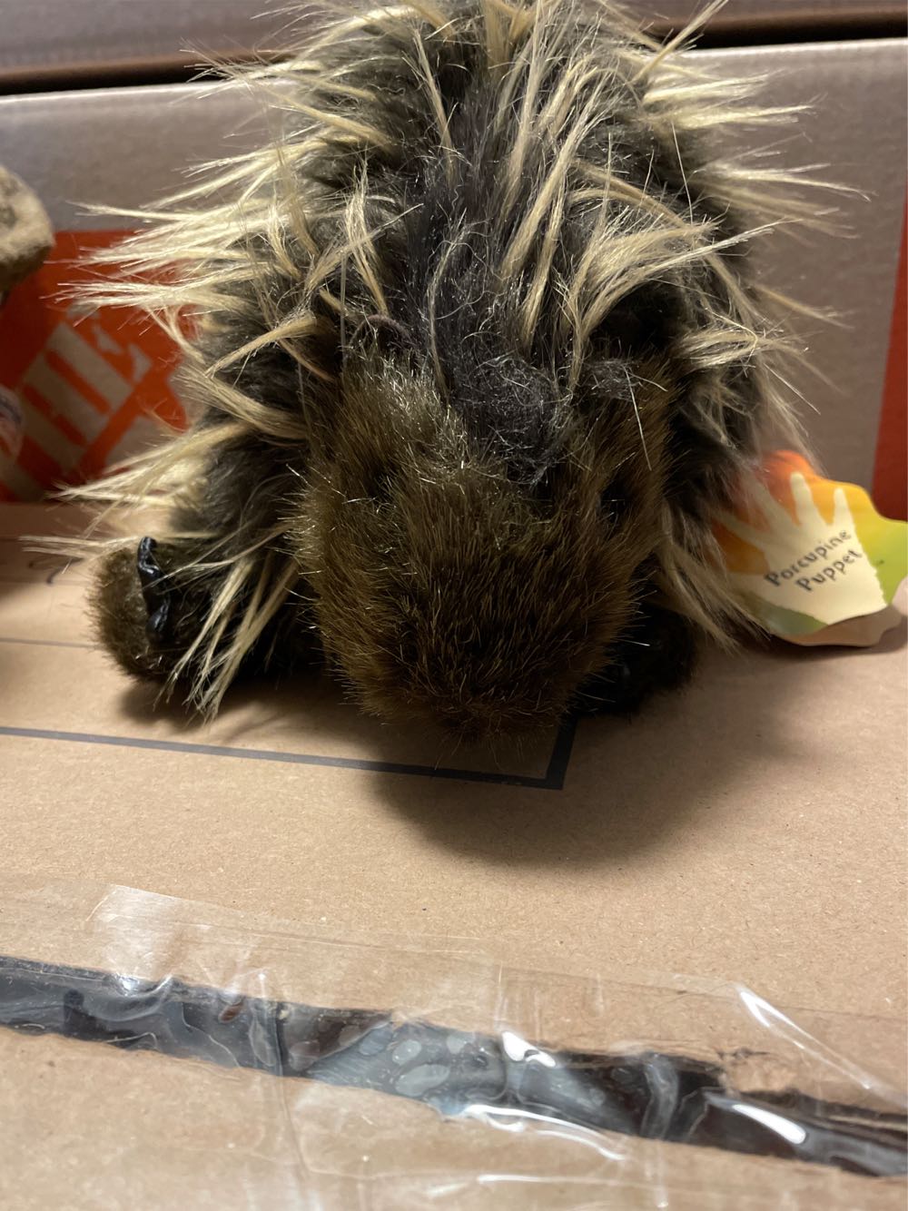 Dragon: Stompy (small)