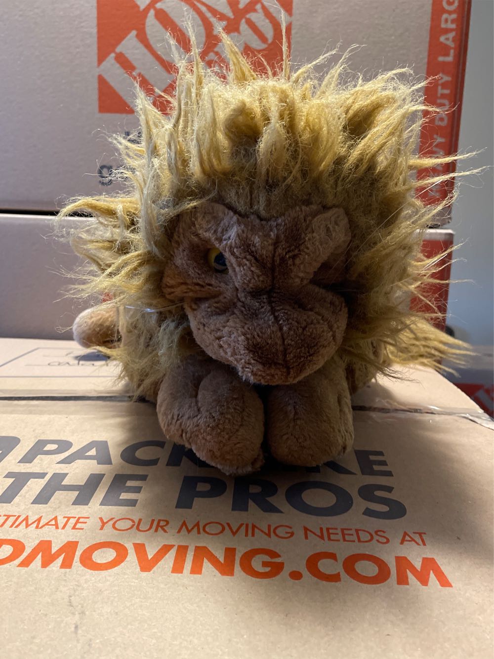 Ty Beanie Buddy Hope Bear