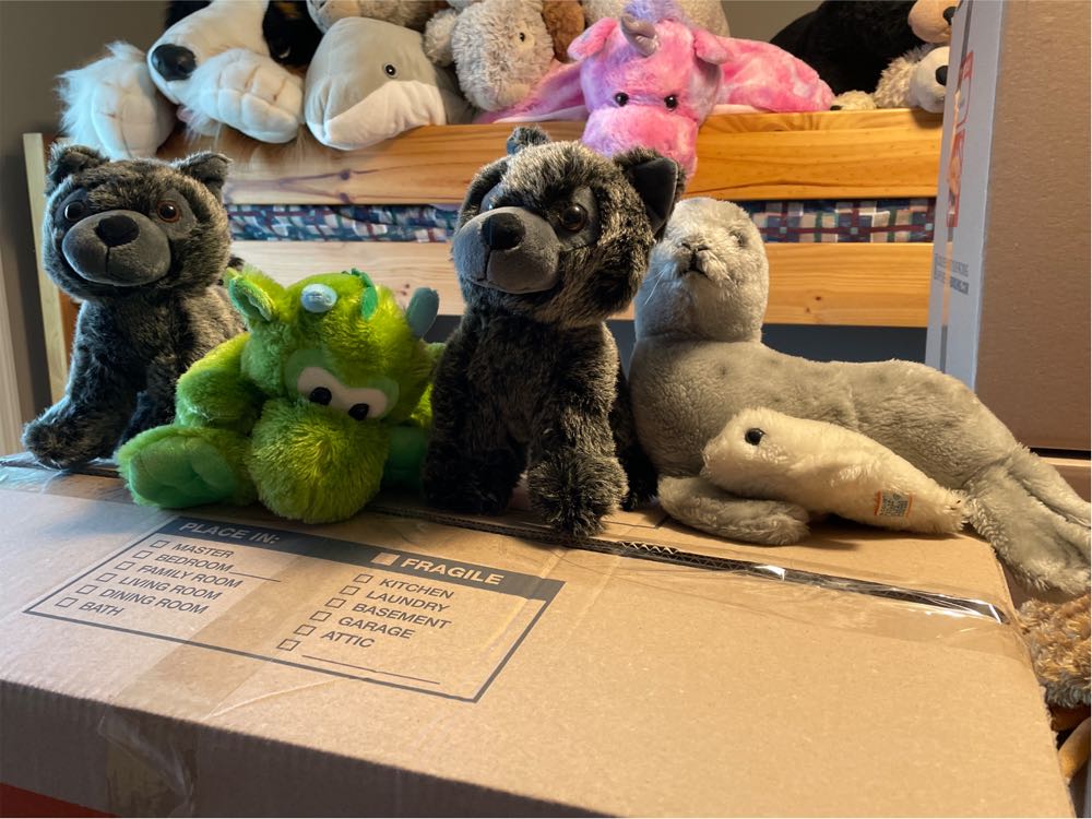 Squishmallow: Cinnamon