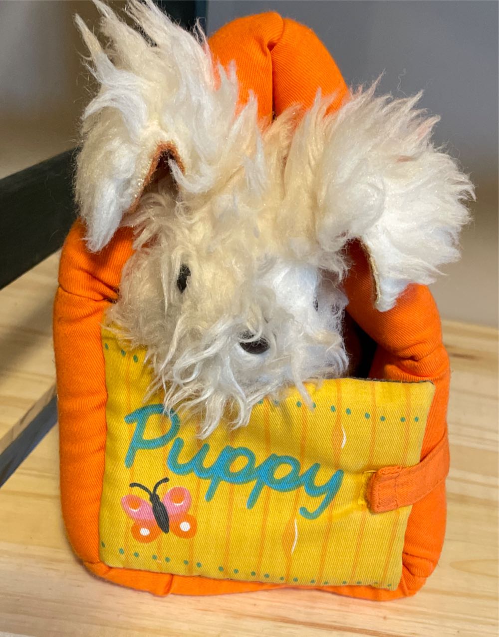 October The Birthday Bear