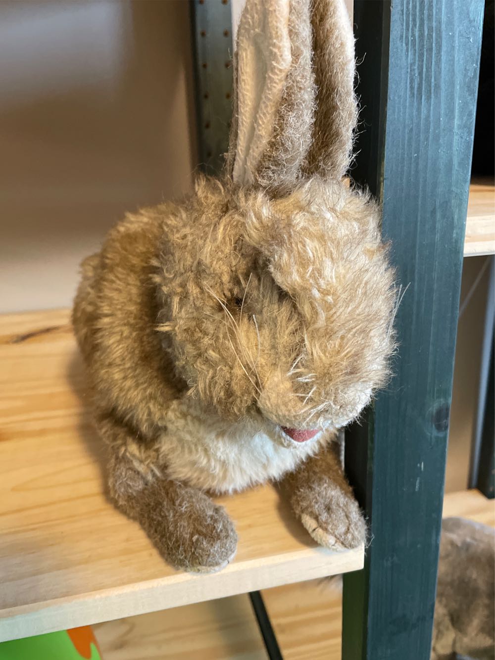 Garignak The  Boar Wild Republic 