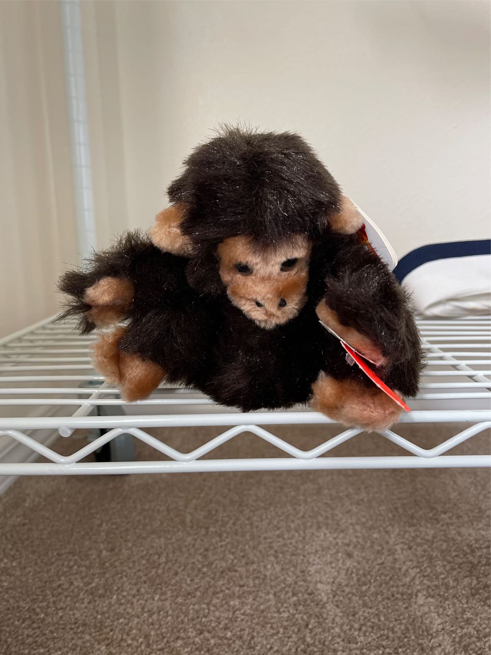 Everett the Hamster 8”