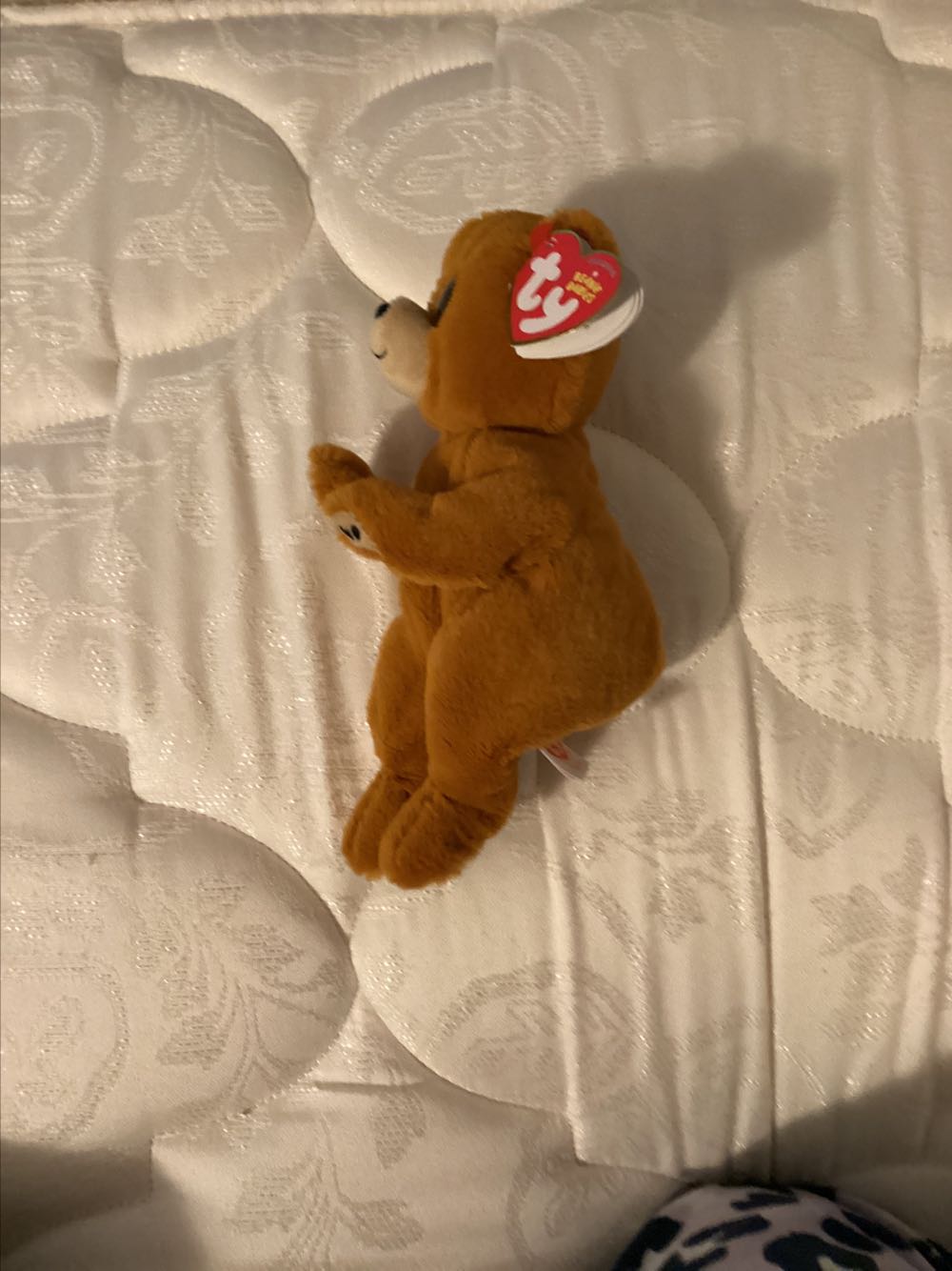 Bellie Duncan the Brown Bear  plush collectible [Barcode 008421405497] - Main Image 3