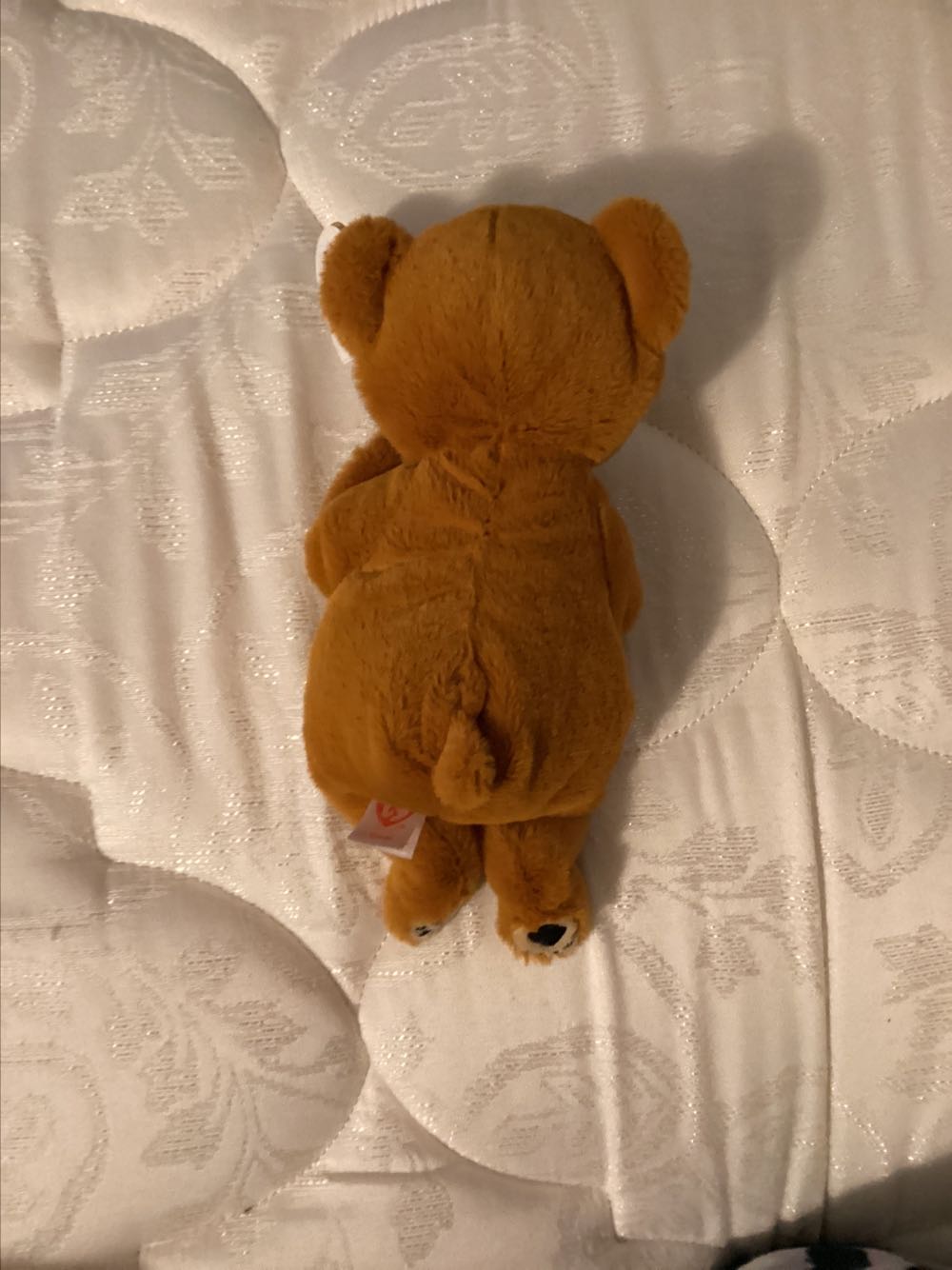 Bellie Duncan the Brown Bear  plush collectible [Barcode 008421405497] - Main Image 4