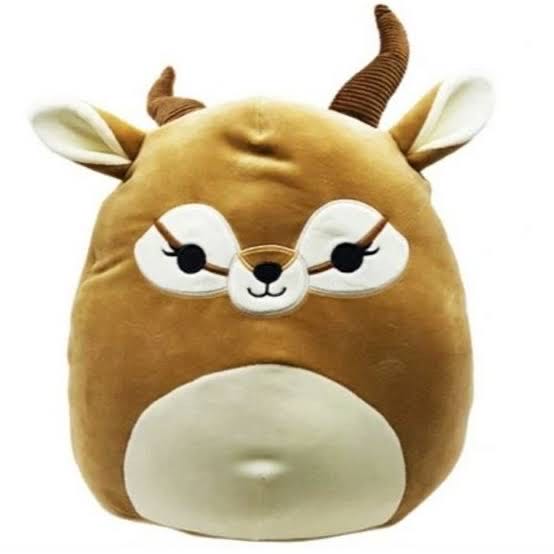 Small floppy Siberian husky