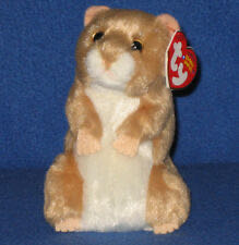 Y Ddraig Goch (BUDDY)