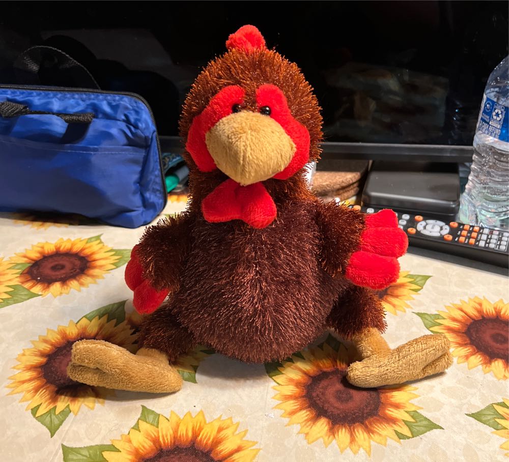 Ty Beanie Buddy Fraidy Cat