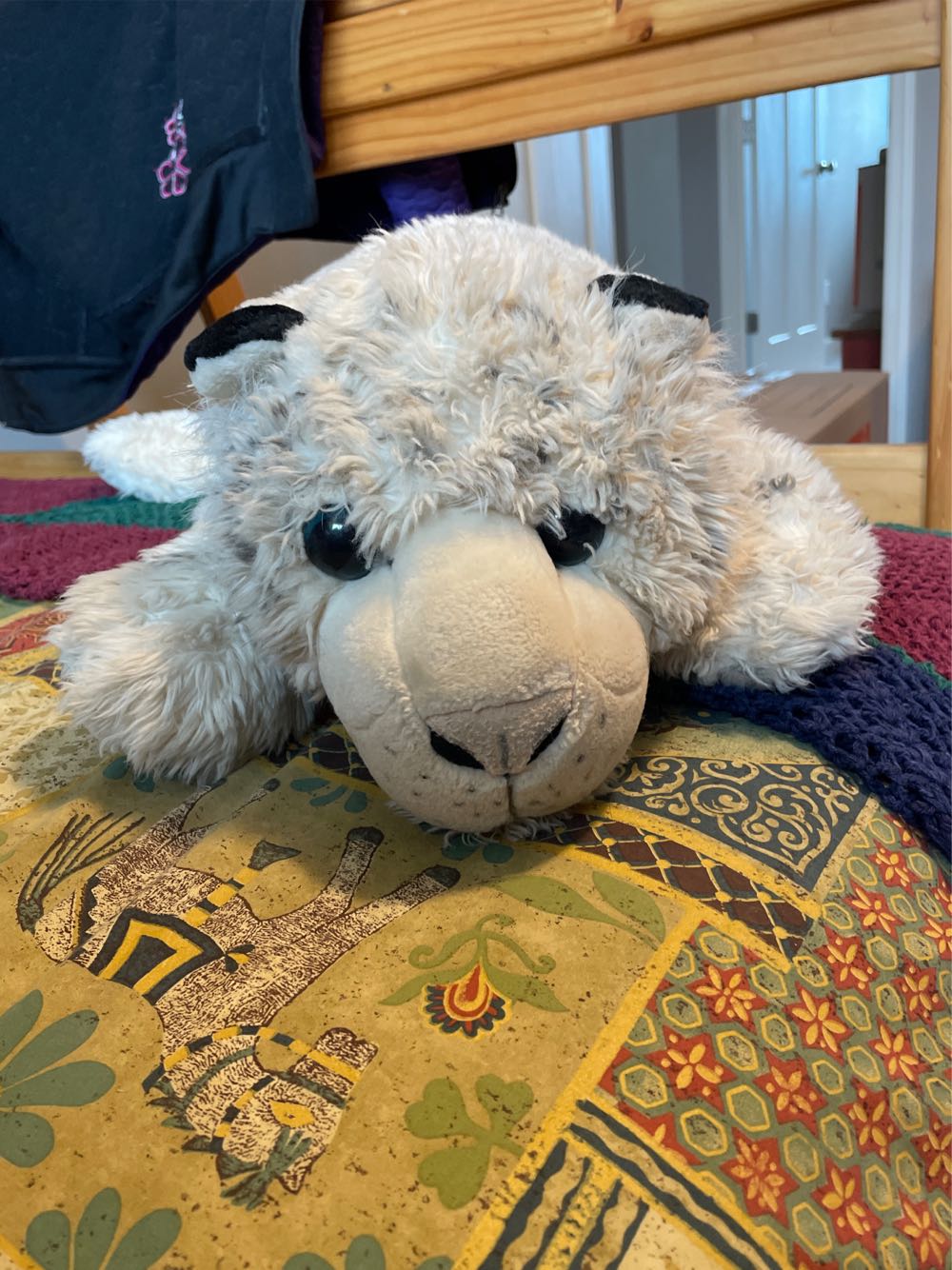 Galeria The Caticorn