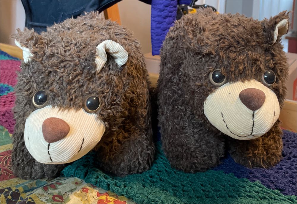 New Year 2007 The Bear