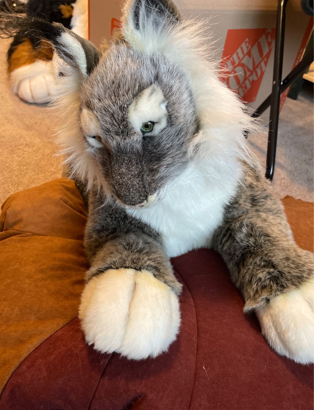 Cinda Squishmallows 8 Inch