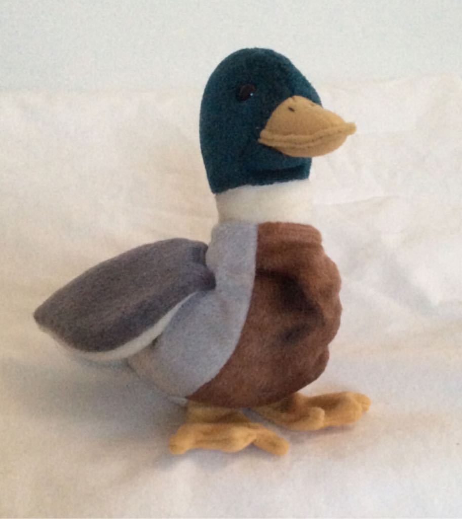 Treyton the Bearded Dragon