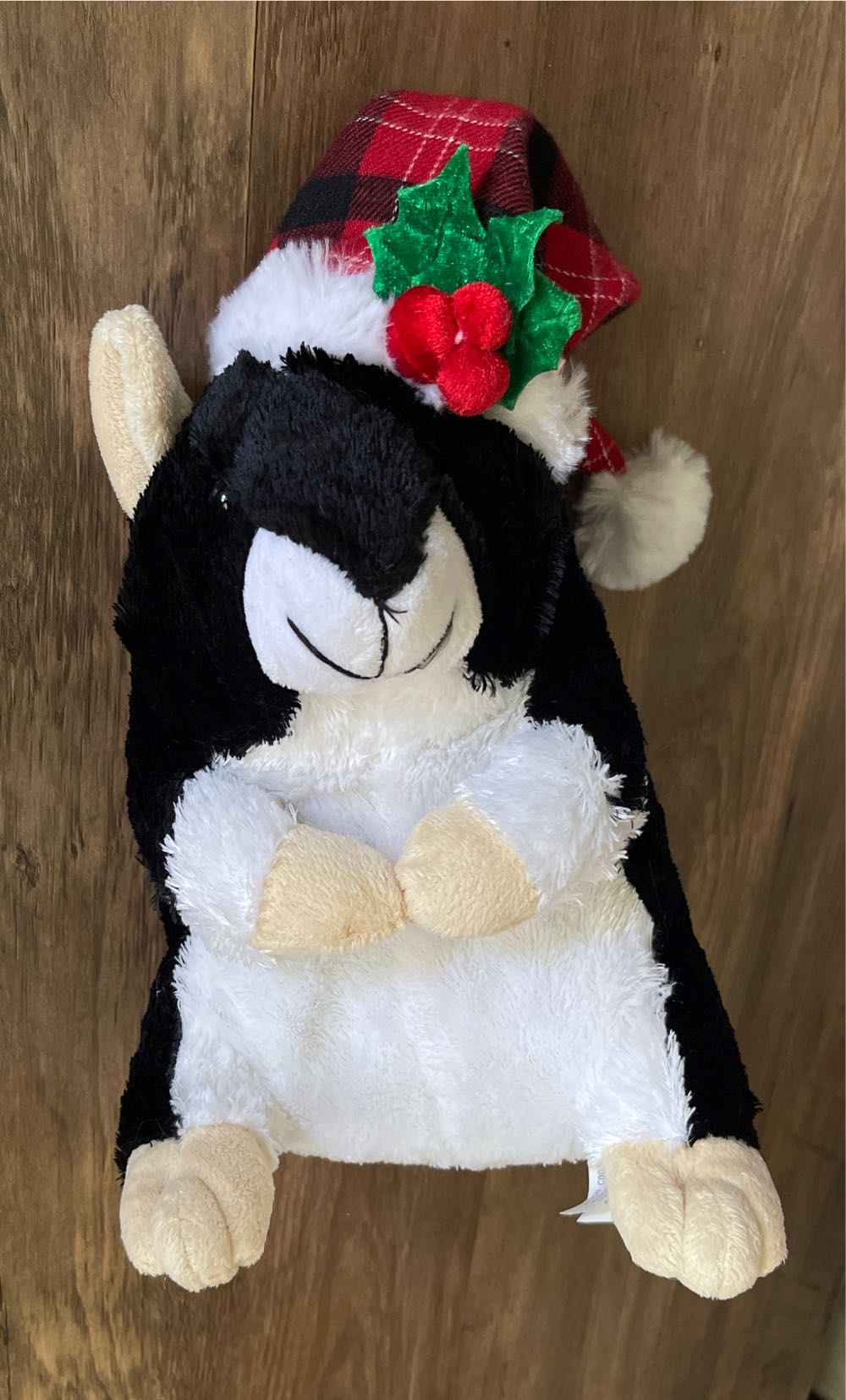 Skunk Hallmark Pepe De L’Amour