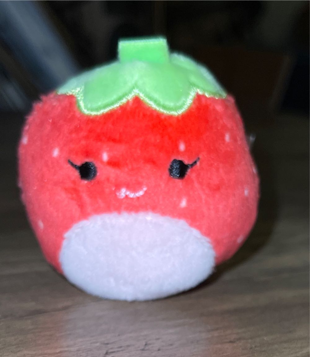 Kirk The Koala Squishmallows 8 Inch