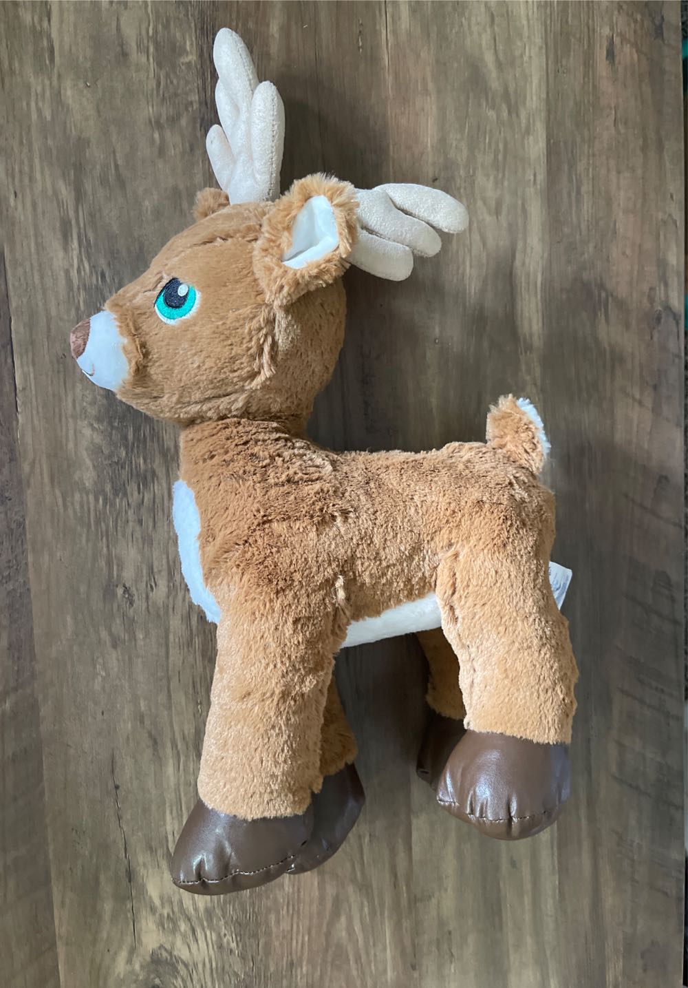 Ferdie The Tie-Dye Frog