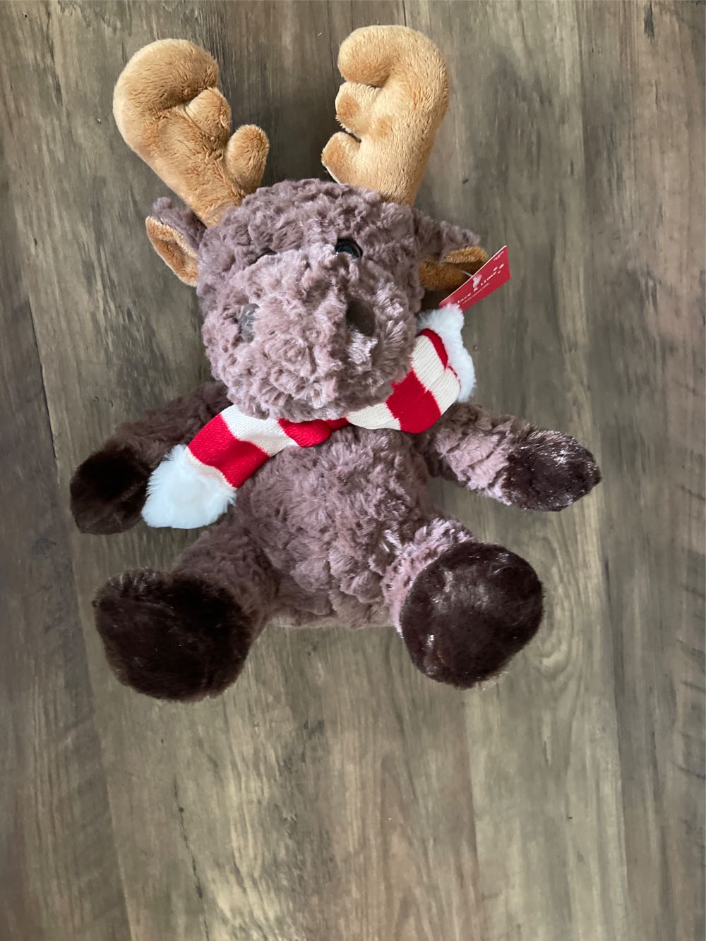 Squishville Aziza Stingray