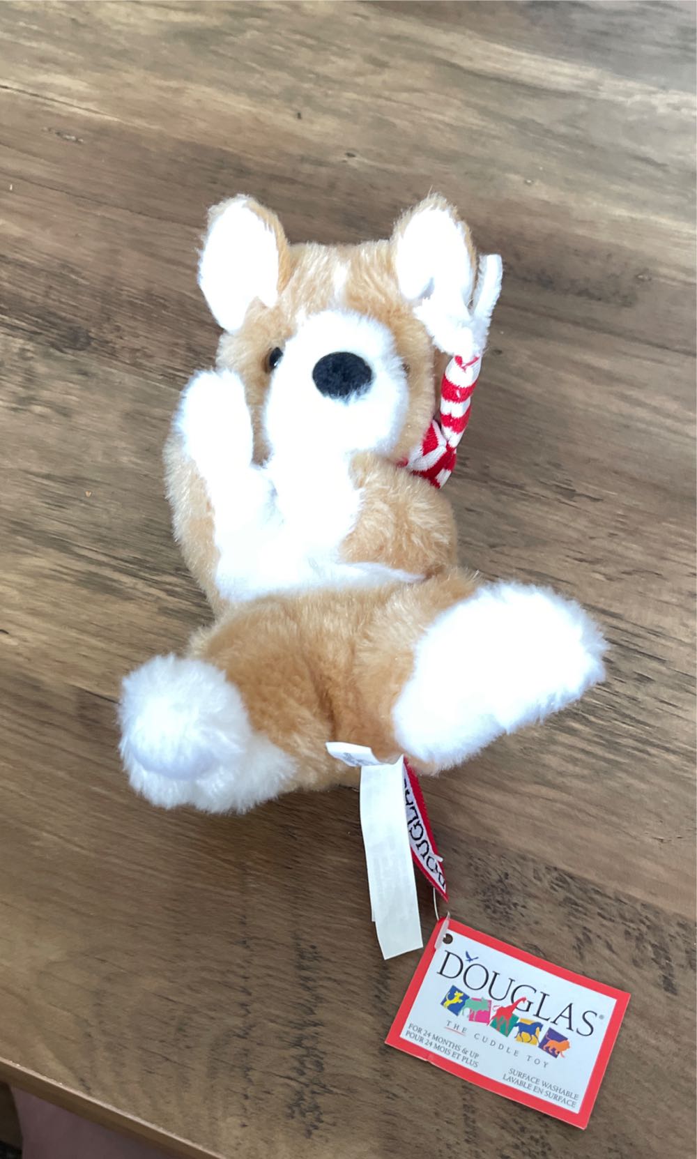 Nora The Fairy 16”