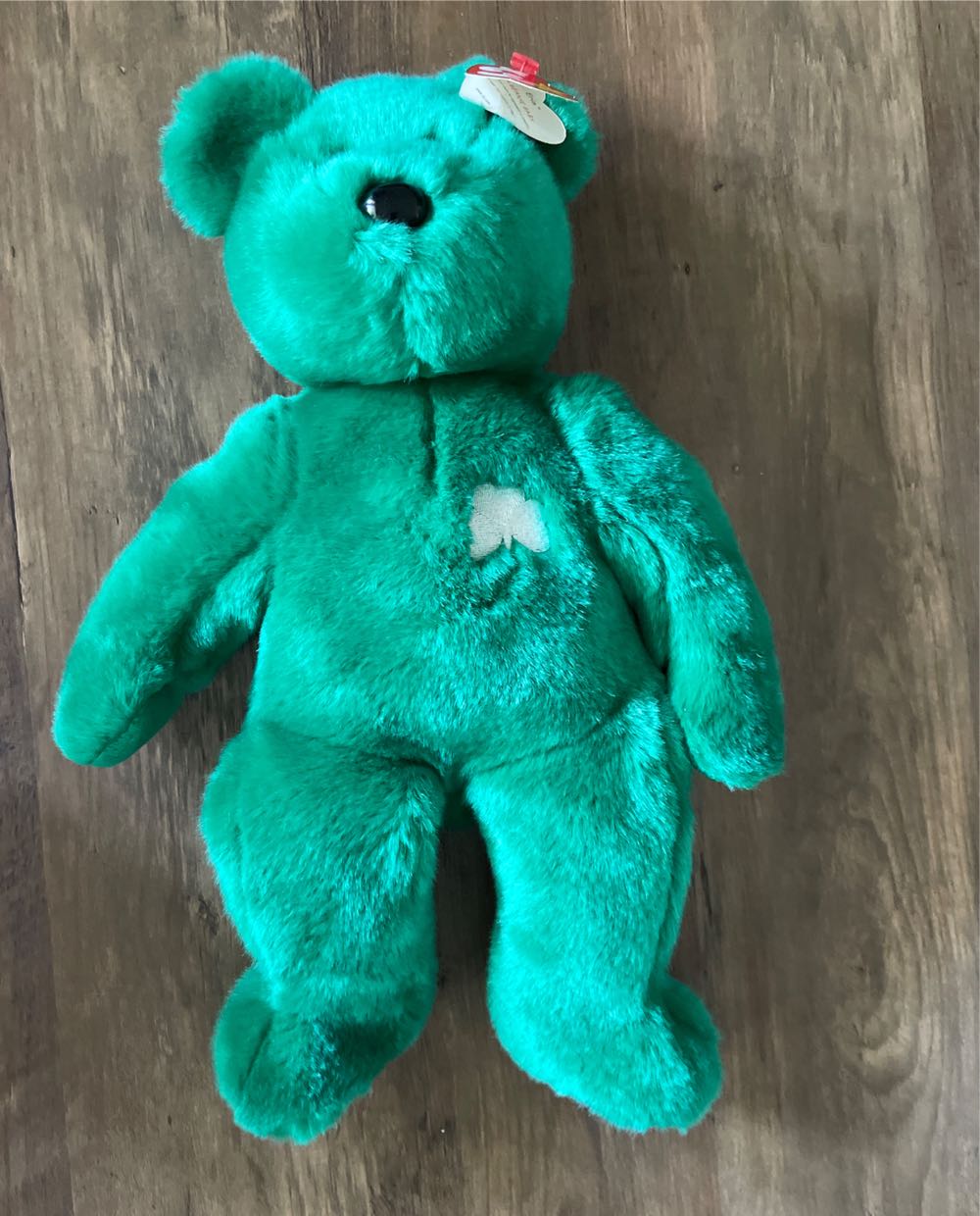 Aurora Miyoni Grizzly 15”