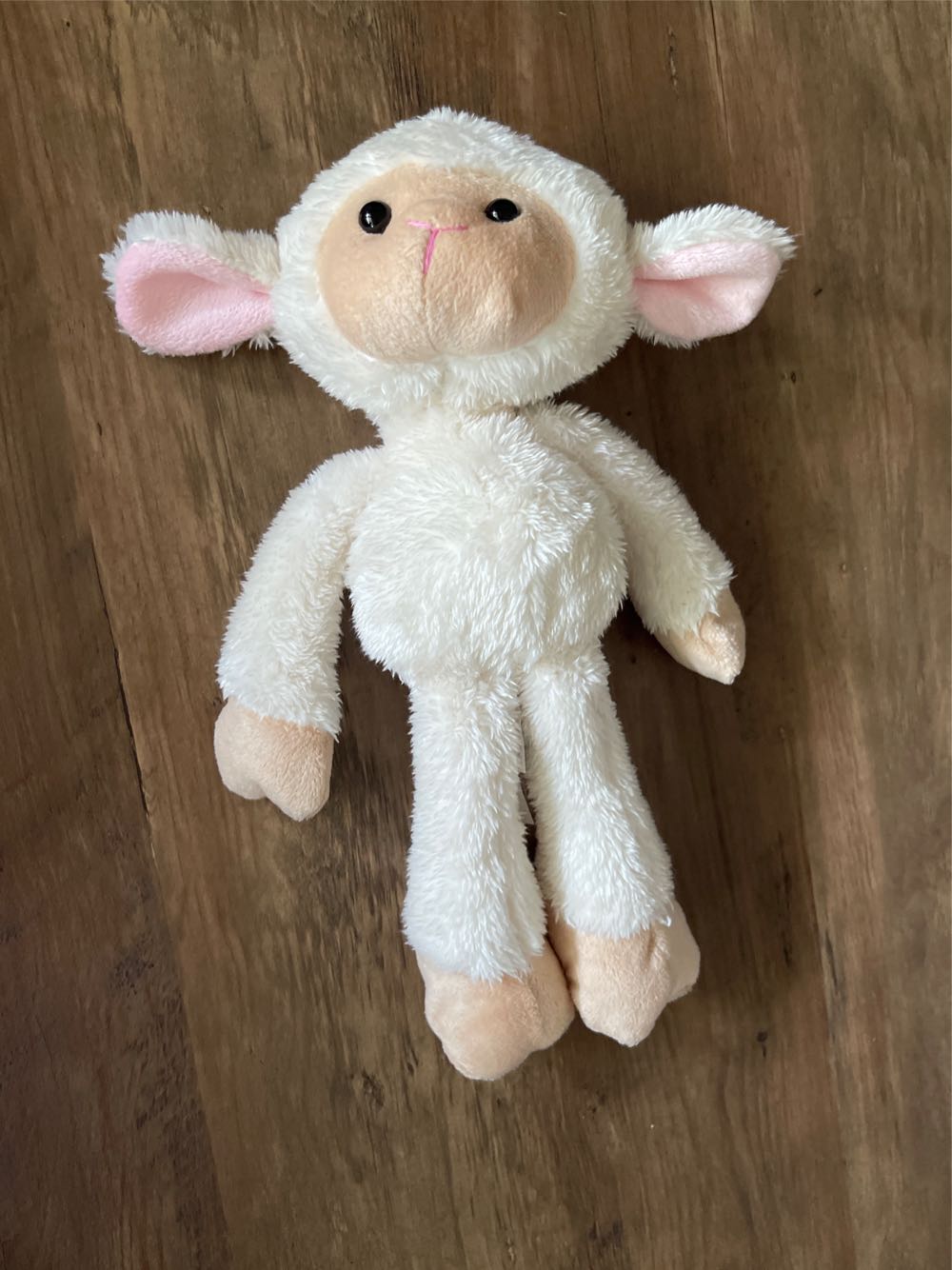 Caeli The 5” Cat Squishmallow