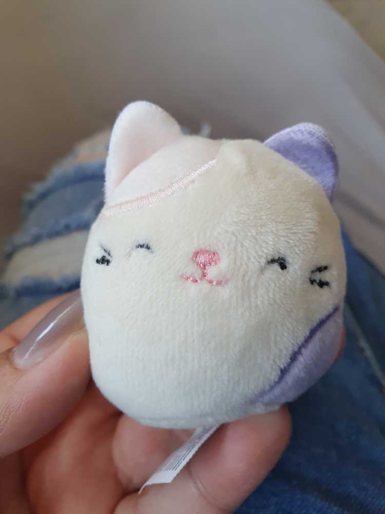 Squishmallow Disney Russell 7” New With Tags